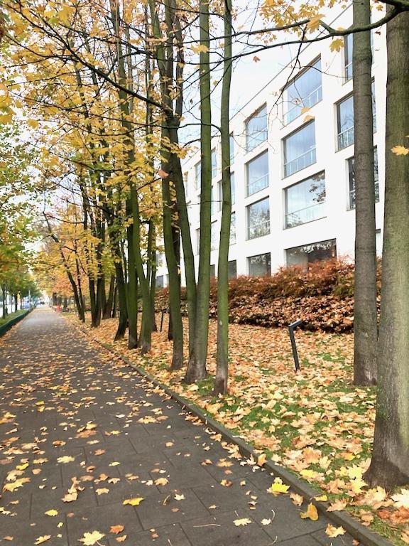 Apartment Novum Rakowicka Street Краков Экстерьер фото